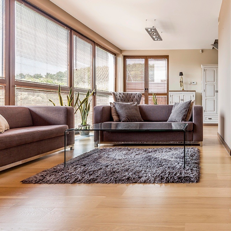 Living Room flooring with Area Rug | Bram Flooring