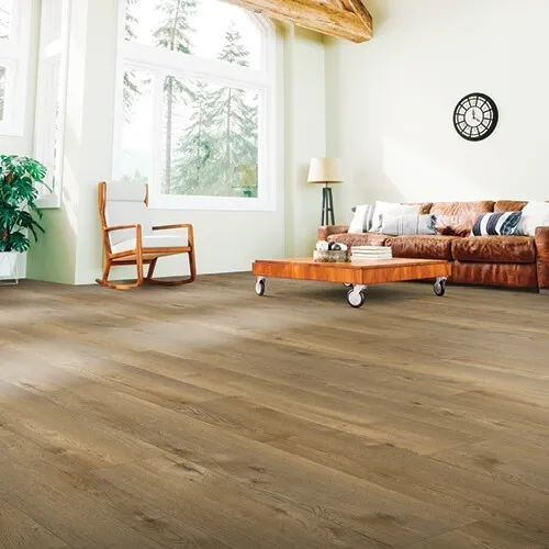imgi_6_PT002_574_00_500x500 Laminate Flooring | Bram Flooring
