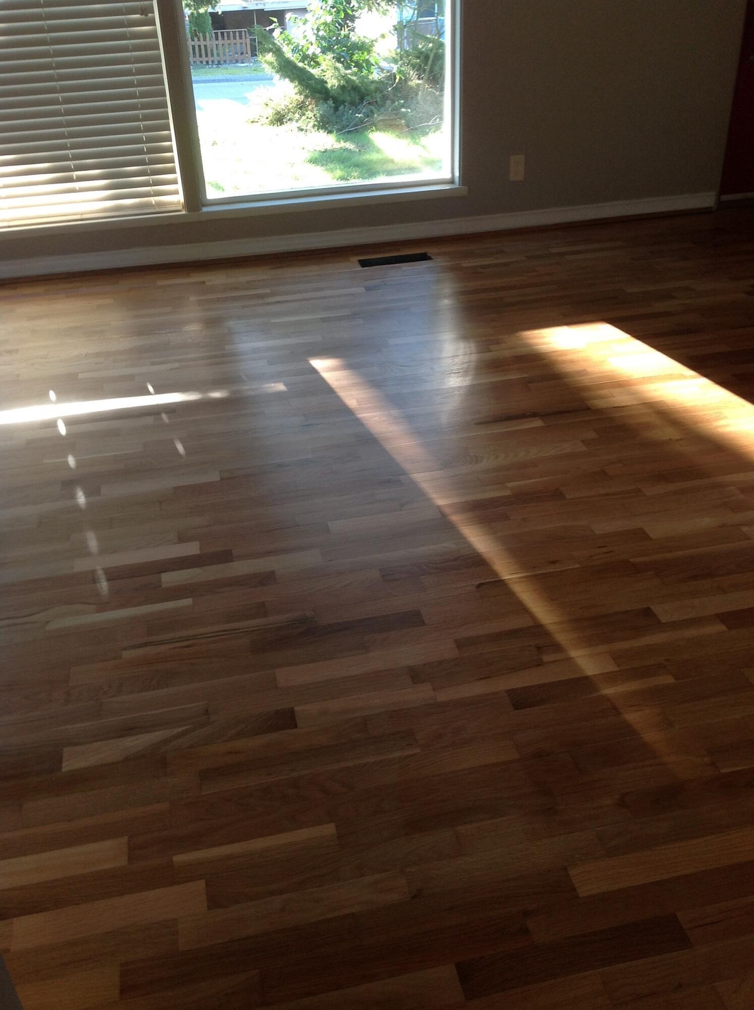 flooring options for arizona homes
